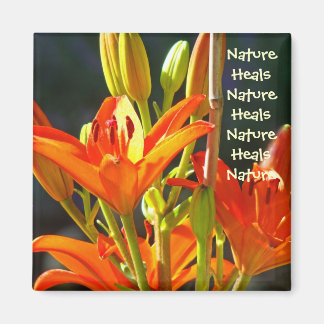 Natur Healar Naturläker magnet Orange Lilja