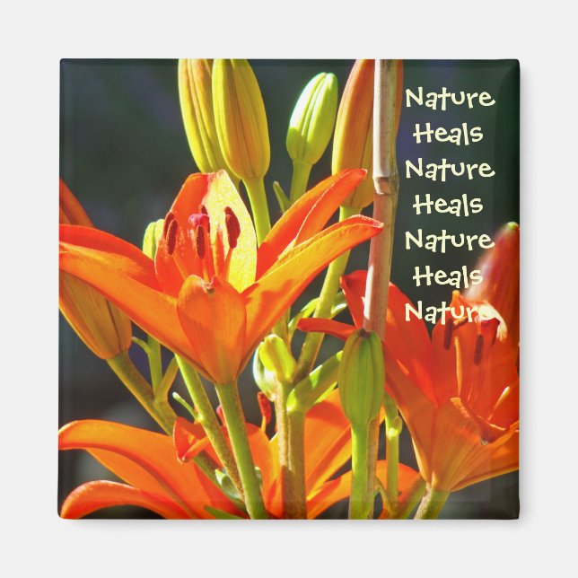 Natur Healar Naturläker magnet Orange Lilja (Framsidan)