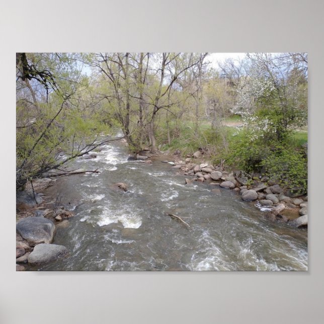 Natur i Boulder Colorado Poster (Framsidan)