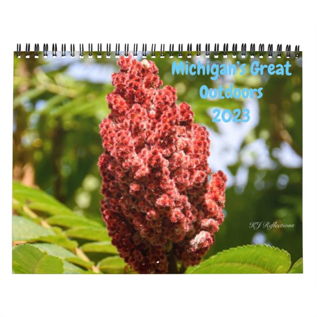 Natur i Michigan Kalender (Omslag)