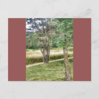 Natur i skönhet 2 vykort