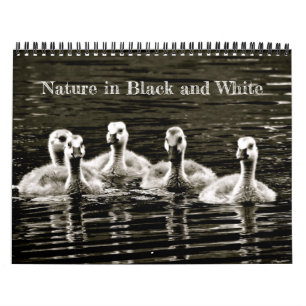 Natur i svartvitt kalender