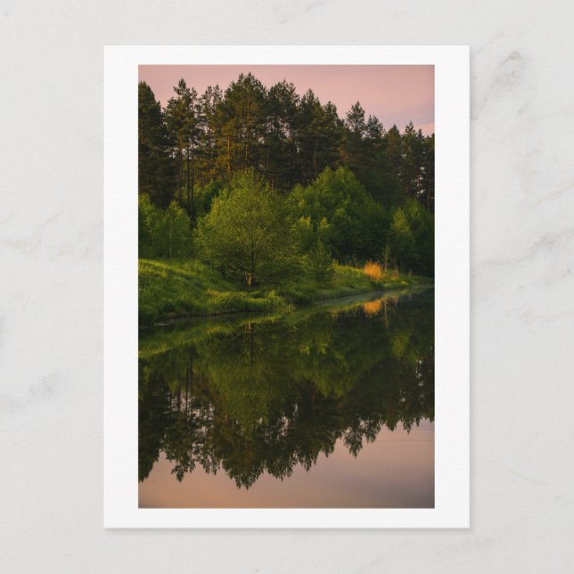 Natur Kanal Flod Skog Vitryssland vykort (Framsida)