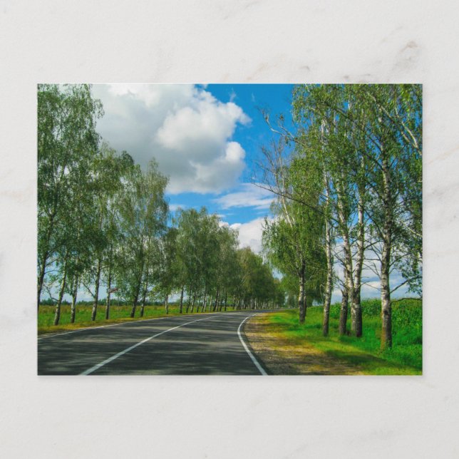 Natur Landskap Sceneri Landsbygd Belarus vykort (Framsida)