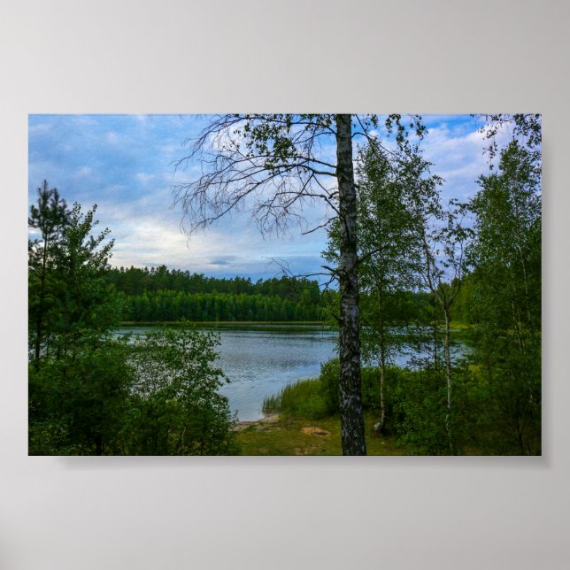 Natur Landskapet Skog i Vitryssland Poster (Framsidan)