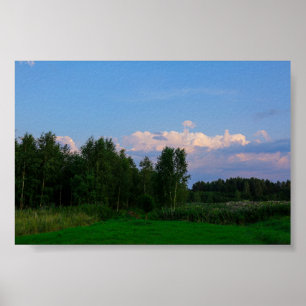 Natur Landskapet Skog i Vitryssland Poster