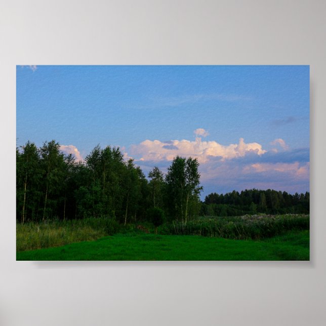 Natur Landskapet Skog i Vitryssland Poster (Framsidan)