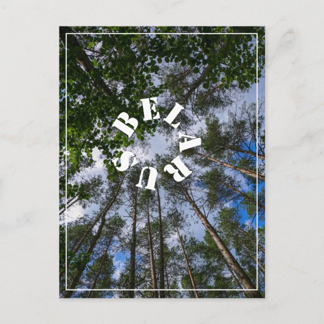 Natur Ligcape Kolla upp Forest Belarus vykort (Framsida)