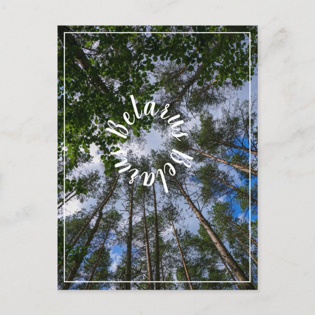 Natur Ligcape Kolla upp Forest Belarus vykort (Framsida)