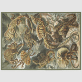 Natur Lizard Ernst Haeckel Decoupage