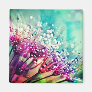 Natur Magnet