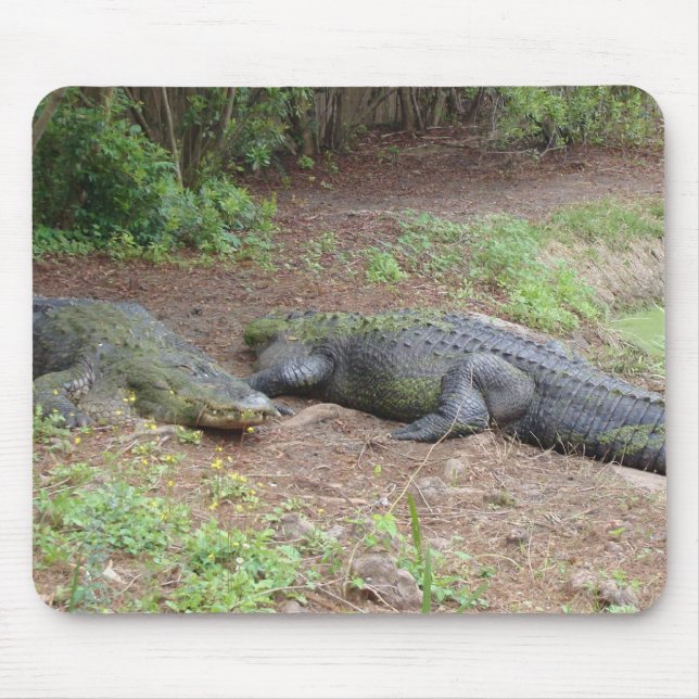 NATUR MOUSEPAD MUSMATTA (Framsidan)