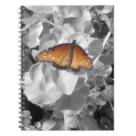 Natur - Orange, Monarch Butterfly Photo Black Whit Anteckningsbok