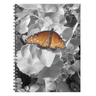 Natur - Orange, Monarch Butterfly Photo Black Whit Anteckningsbok