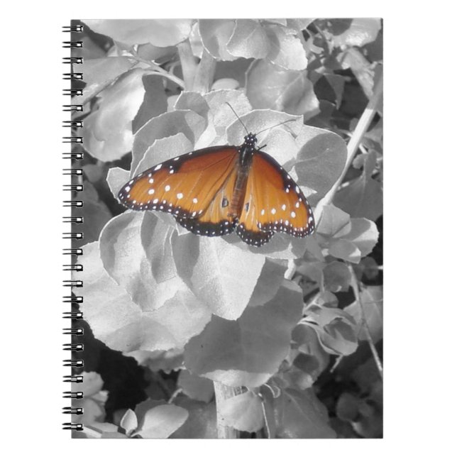 Natur - Orange, Monarch Butterfly Photo Black Whit Anteckningsbok (Framsidan)
