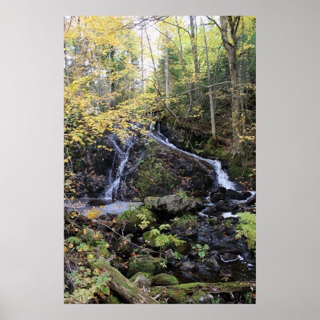 Natur Poster (Framsidan)