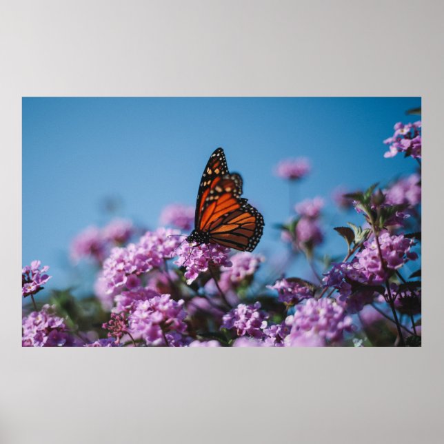 Natur Poster (Framsidan)