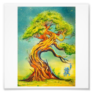 Natur poster