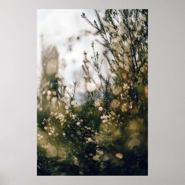 NATUR POSTER (Framsidan)