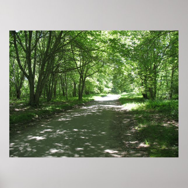 Natur Poster (Framsidan)