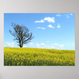 Natur Poster
