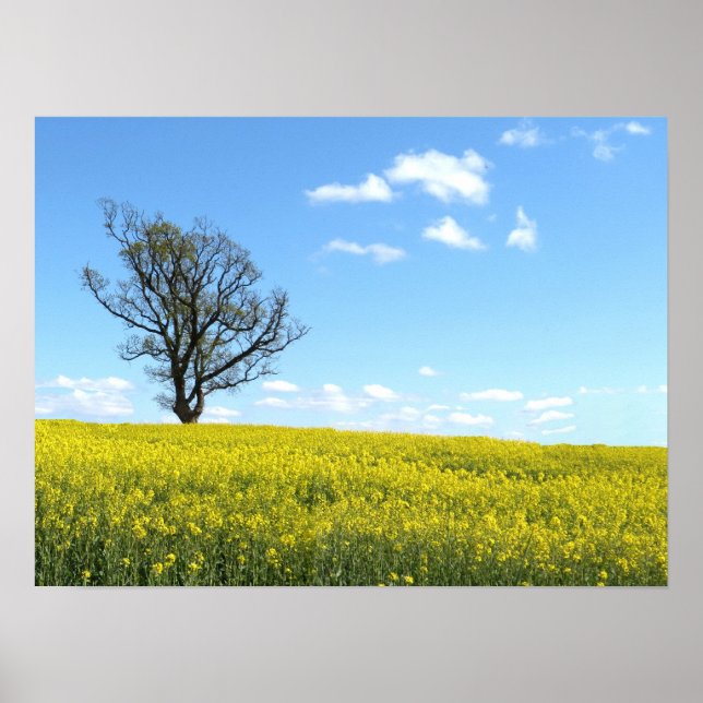 Natur Poster (Framsidan)