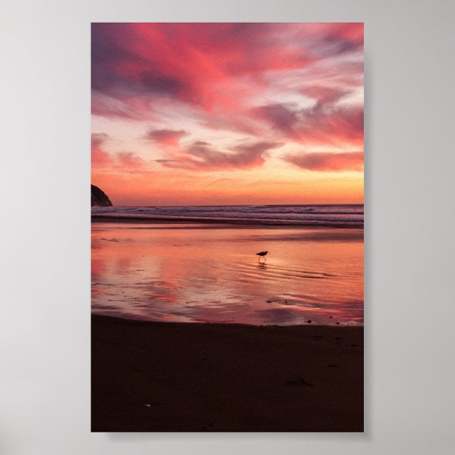 Natur Poster (Framsidan)