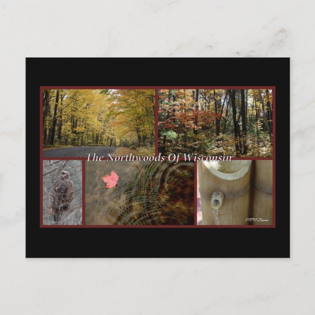 Natur Poster vykort för Wisconsin Wisconsin (Framsida)
