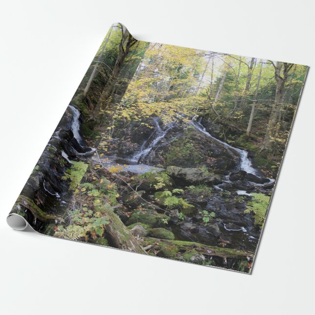 Natur Presentpapper (Utrullad)