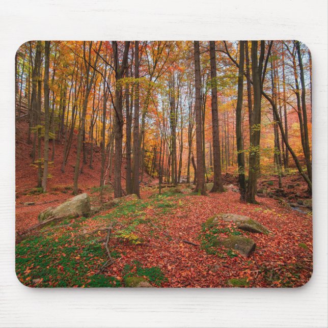 natur, skog, träd musmatta (Framsidan)