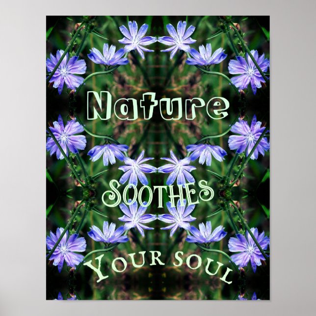 Natur Soothes Vild Cikory Inspirational Poster (Framsidan)
