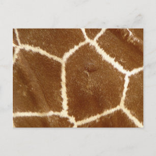 Natur Texturerad fotoutskrift i Mönster Vykort