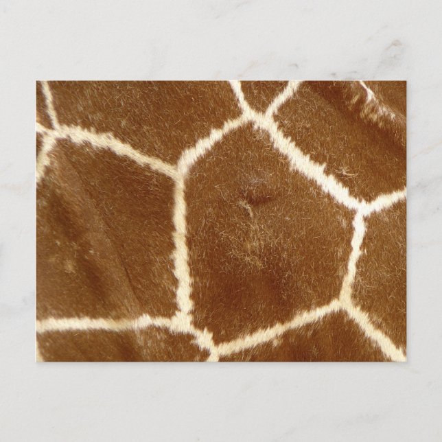 Natur Texturerad fotoutskrift i Mönster Vykort (Framsida)