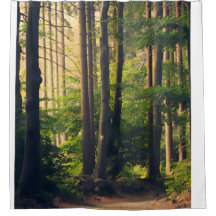 Natur, Träd i nationalparken