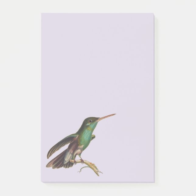 Natur Vild Birds Hummingbird Post-it Block (Framsida)