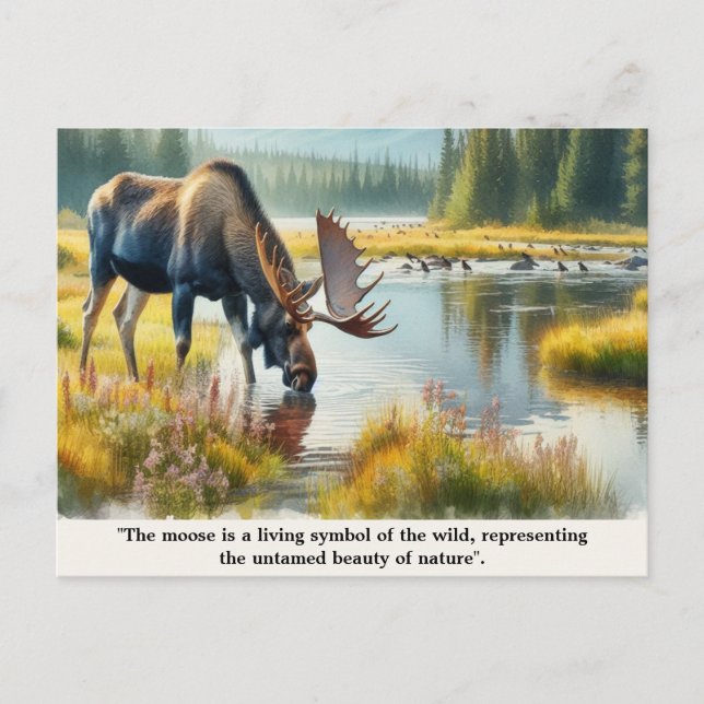 Natur Vilda djur Älg med Citat  Vykort (Framsida)