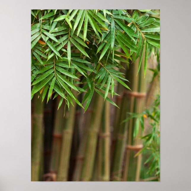 Natural Bamboo Zen Background Customized Template Poster (Framsidan)