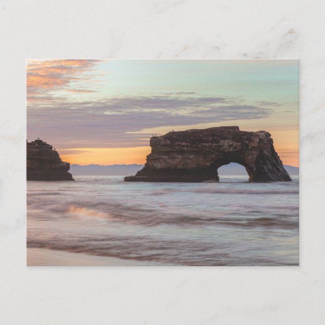 Natural Bridges Santa Cruz California Kusten Vykort (Framsida)