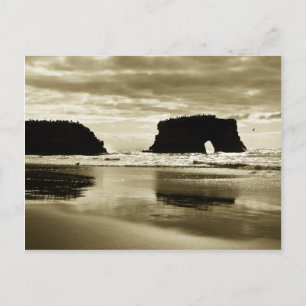 Natural Bridges State Beach Vykort
