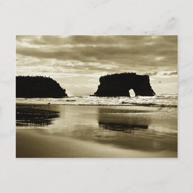 Natural Bridges State Beach Vykort (Framsida)