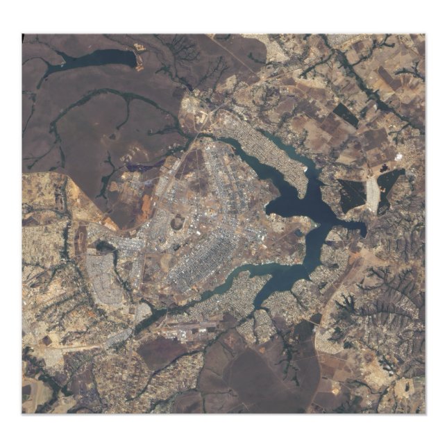 Natural-färgbild i Bras¯rika, Brasilien Fototryck (Framsidan)