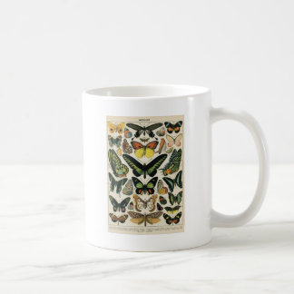Natural History Butterfly Kaffemugg