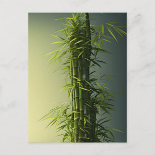 Natural Lucky Bamboo Vykort