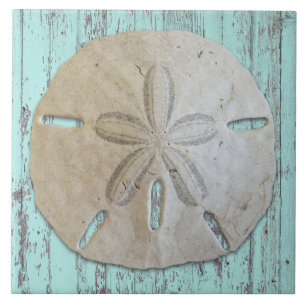 Natural Sand Dollar Rustic Beach Wood Kakelplatta