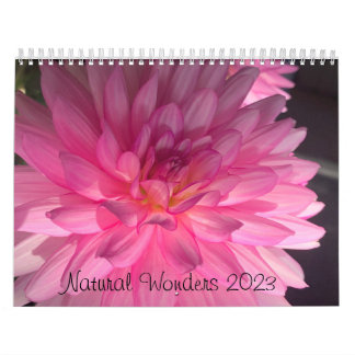 Natural  Two Page MediumCalendar, White 2023 Kalender