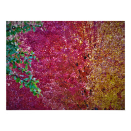 "Natural Vibrancy" Fototryck