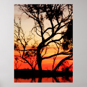 Naturaladelisk Poster