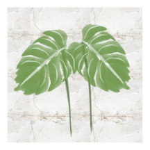 Naturals Abstrakt Monstera Löv Rustic
