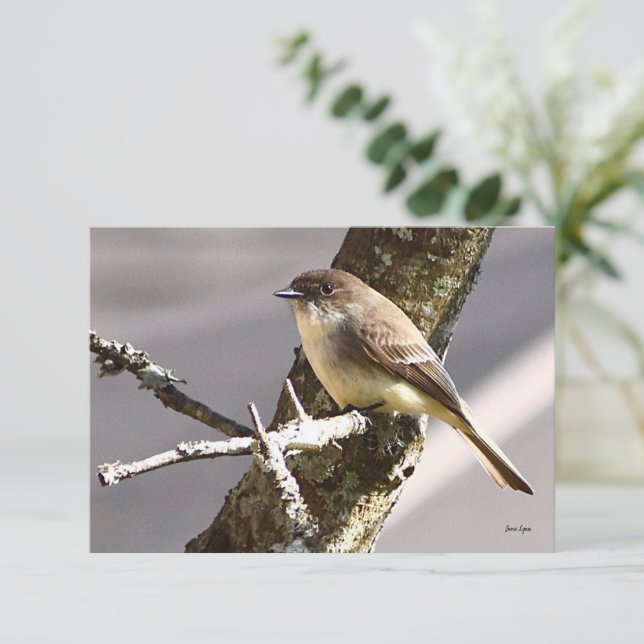 Naturanteckningskort Bird-kort Tack Kort (Stående Fram)