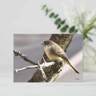 Naturanteckningskort Bird-kort Tack Kort